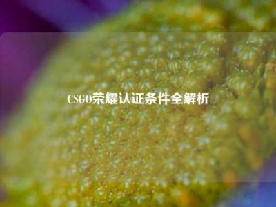 CSGO荣耀认证条件全解析