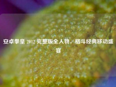 安卓拳皇 2012 完整版全人物，格斗经典移动盛宴