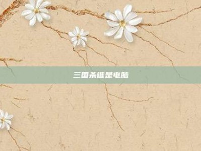 三国杀谁是电脑