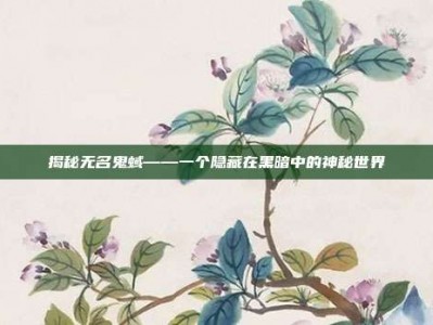 揭秘无名鬼蜮——一个隐藏在黑暗中的神秘世界