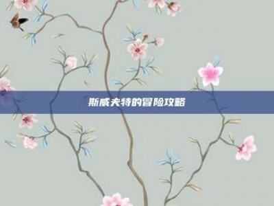 斯威夫特的冒险攻略