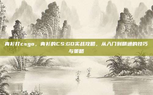 青衫打csgo，青衫的CS:GO实战攻略，从入门到精通的技巧与策略