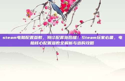 steam电脑配置参数，别让配置拖后腿！Steam玩家必备，电脑核心配置参数全解析与选购攻略