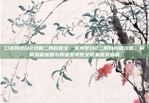 口袋妖怪白2攻略二周目图文，宝可梦白2二周目终极攻略，解锁隐藏地图与传说宝可梦全收集图文指南