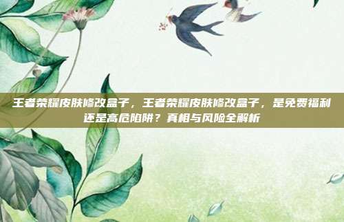 王者荣耀皮肤修改盒子,王者荣耀皮肤修改盒子,是免费福利还是高危陷阱?真相与风险全解析