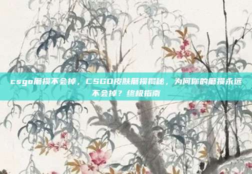 csgo磨损不会掉,CSGO皮肤磨损揭秘,为何你的磨损永远不会掉?终极指南