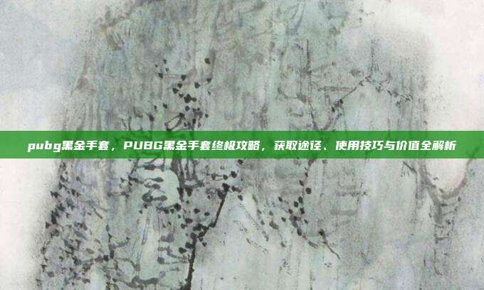 pubg黑金手套,PUBG黑金手套终极攻略,获取途径、使用技巧与价值全解析