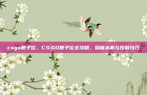csgo崽子位,CS:GO崽子位全攻略,隐藏杀机与反制技巧