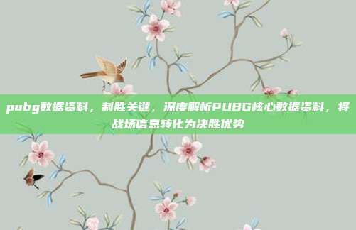 pubg数据资料,制胜关键,深度解析PUBG核心数据资料,将战场信息转化为决胜优势