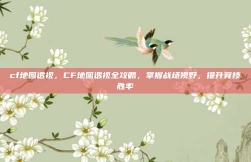 cf地图透视,CF地图透视全攻略,掌握战场视野,提升竞技胜率