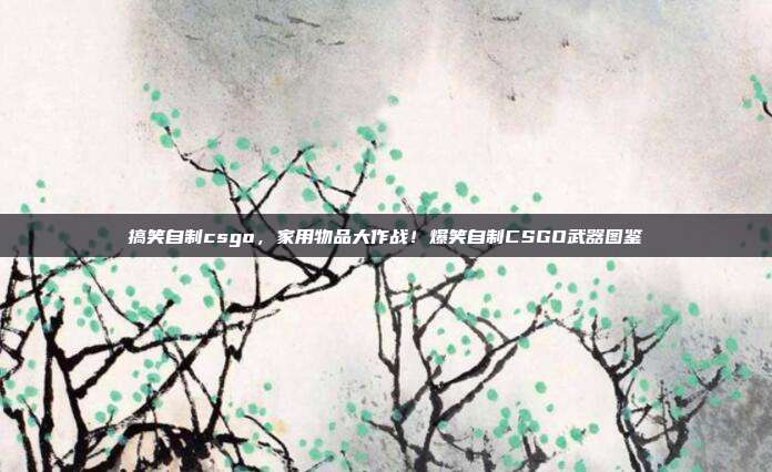 搞笑自制csgo,家用物品大作战!爆笑自制CSGO武器图鉴