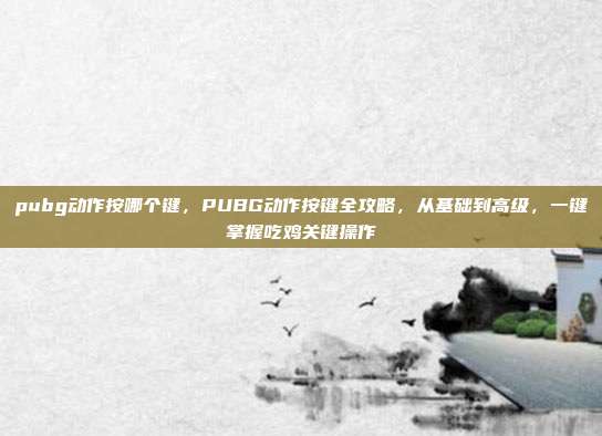 pubg动作按哪个键,PUBG动作按键全攻略,从基础到高级,一键掌握吃鸡关键操作