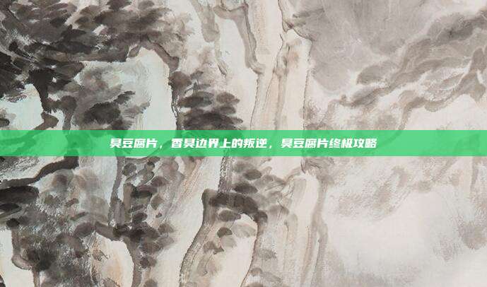 臭豆腐片，香臭边界上的叛逆，臭豆腐片终极攻略