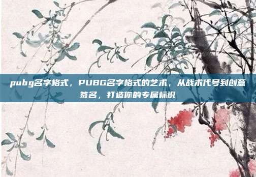 pubg名字格式,PUBG名字格式的艺术,从战术代号到创意签名,打造你的专属标识