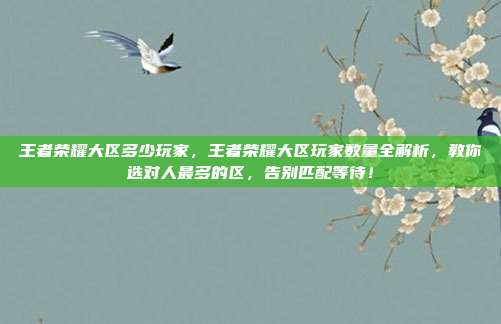 王者荣耀大区多少玩家,王者荣耀大区玩家数量全解析,教你选对人最多的区,告别匹配等待!