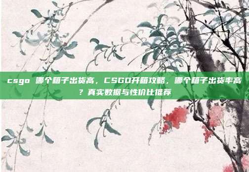 csgo 哪个箱子出货高,CSGO开箱攻略,哪个箱子出货率高?真实数据与性价比推荐