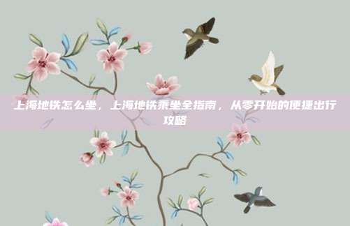 上海地铁怎么坐,上海地铁乘坐全指南,从零开始的便捷出行攻略