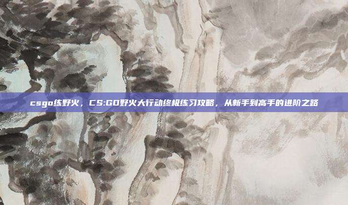 csgo练野火，CS:GO野火大行动终极练习攻略，从新手到高手的进阶之路