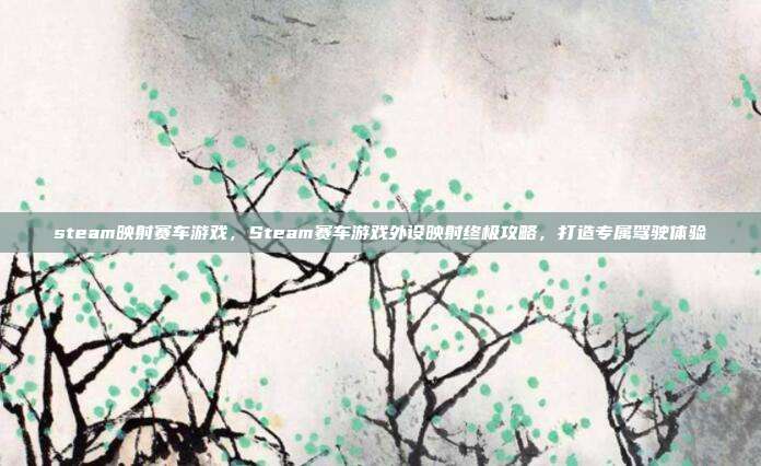 steam映射赛车游戏,Steam赛车游戏外设映射终极攻略,打造专属驾驶体验