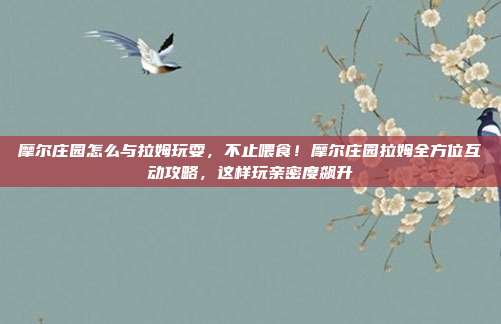 摩尔庄园怎么与拉姆玩耍，不止喂食！摩尔庄园拉姆全方位互动攻略，这样玩亲密度飙升
