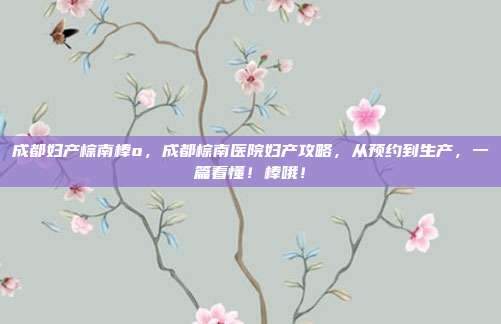 成都妇产棕南棒o,成都棕南医院妇产攻略,从预约到生产,一篇看懂!棒哦!