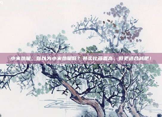 小米热量，你以为小米热量低？其实比燕麦高，但更适合减肥！