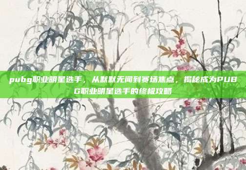 pubg职业明星选手，从默默无闻到赛场焦点，揭秘成为PUBG职业明星选手的终极攻略
