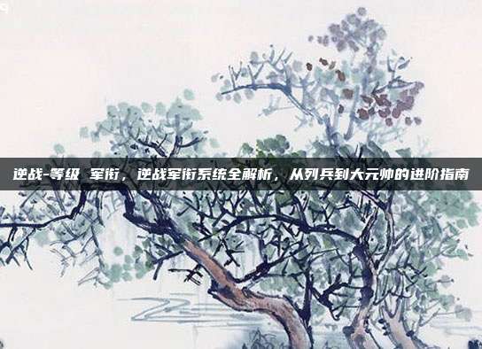 逆战-等级 军衔,逆战军衔系统全解析,从列兵到大元帅的进阶指南
