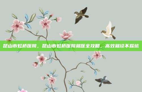 昆山市虹桥医院,昆山市虹桥医院就医全攻略,高效就诊不踩坑