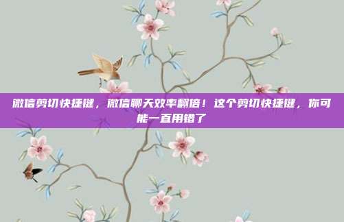 微信剪切快捷键,微信聊天效率翻倍!这个剪切快捷键,你可能一直用错了