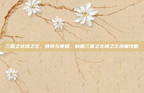三国之北境之王,铁骑与寒霜,制霸三国之北境之王终极攻略