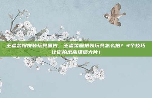 王者荣耀拼装玩具图片,王者荣耀拼装玩具怎么拍?3个技巧让你拍出高级感大片!