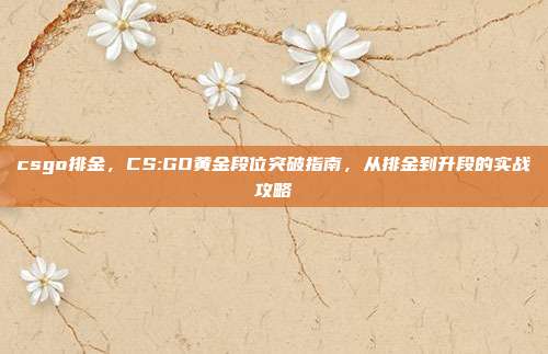 csgo排金,CS:GO黄金段位突破指南,从排金到升段的实战攻略