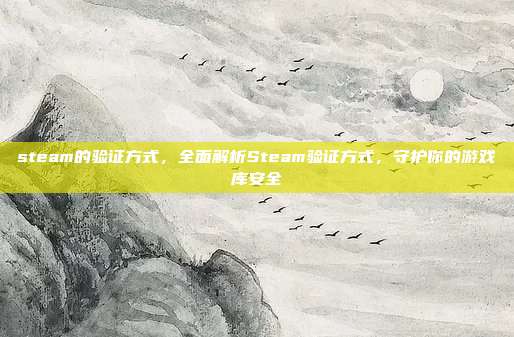 steam的验证方式,全面解析Steam验证方式,守护你的游戏库安全