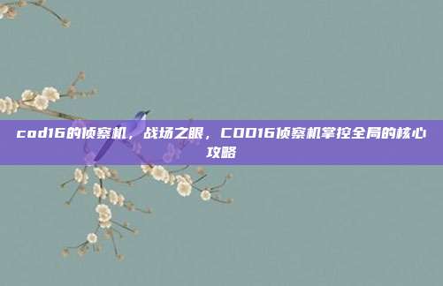 cod16的侦察机,战场之眼,COD16侦察机掌控全局的核心攻略