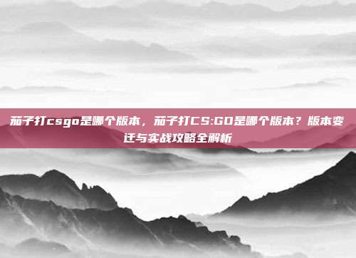 茄子打csgo是哪个版本,茄子打CS:GO是哪个版本?版本变迁与实战攻略全解析