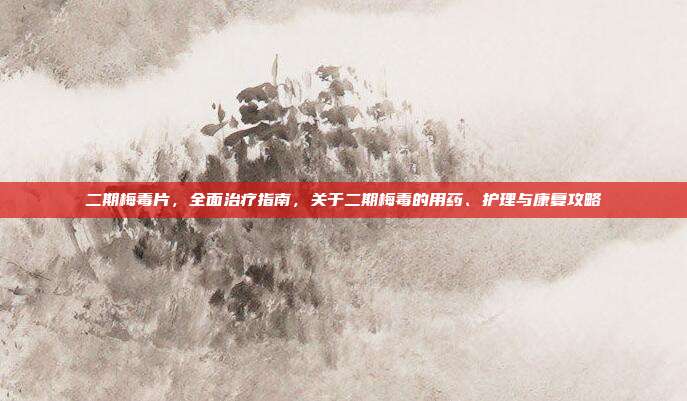 二期梅毒片,全面治疗指南,关于二期梅毒的用药、护理与康复攻略