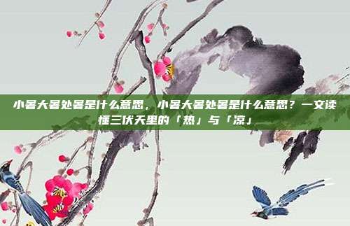小暑大暑处暑是什么意思，小暑大暑处暑是什么意思？一文读懂三伏天里的「热」与「凉」
