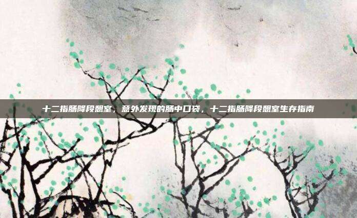 十二指肠降段憩室,意外发现的肠中口袋,十二指肠降段憩室生存指南