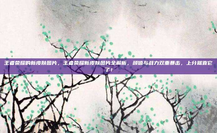 王者荣耀的新皮肤图片，王者荣耀新皮肤图片全解析，颜值与战力双重暴击，上分就靠它了！