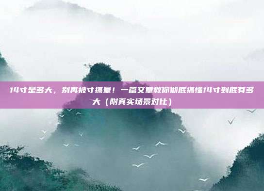 14寸是多大,别再被寸搞晕!一篇文章教你彻底搞懂14寸到底有多大(附真实场景对比)