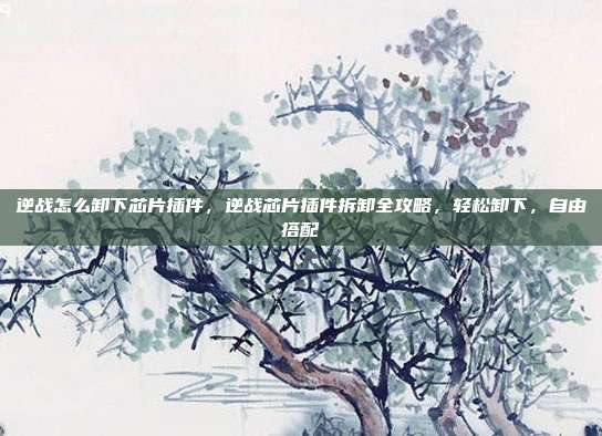 逆战怎么卸下芯片插件,逆战芯片插件拆卸全攻略,轻松卸下,自由搭配