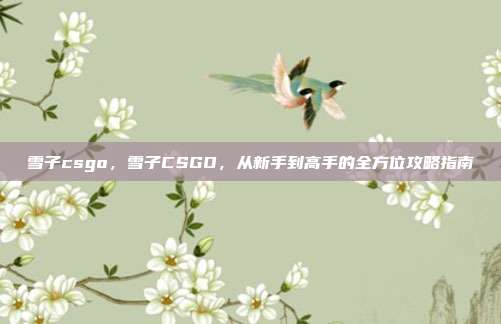 雪子csgo,雪子CSGO,从新手到高手的全方位攻略指南