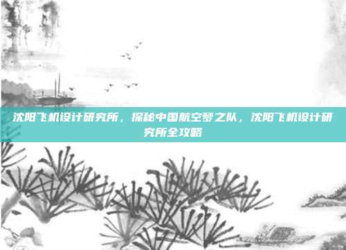 沈阳飞机设计研究所,探秘中国航空梦之队,沈阳飞机设计研究所全攻略