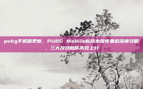 pubg手机端更新,PUBG Mobile新版本暗夜重启深度攻略,三大改动助你高效上分