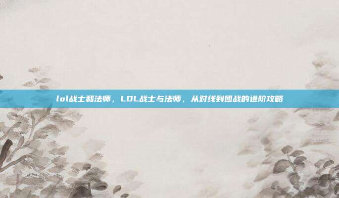 lol战士和法师，LOL战士与法师，从对线到团战的进阶攻略