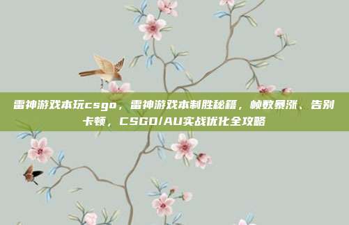 雷神游戏本玩csgo,雷神游戏本制胜秘籍,帧数暴涨、告别卡顿,CSGO/AU实战优化全攻略