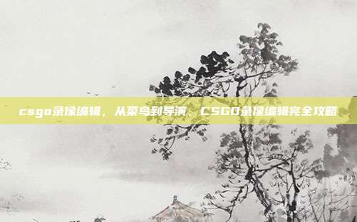 csgo录像编辑,从菜鸟到导演,CSGO录像编辑完全攻略