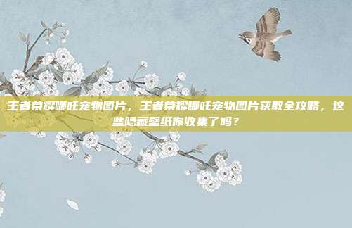 王者荣耀哪吒宠物图片,王者荣耀哪吒宠物图片获取全攻略,这些隐藏壁纸你收集了吗?