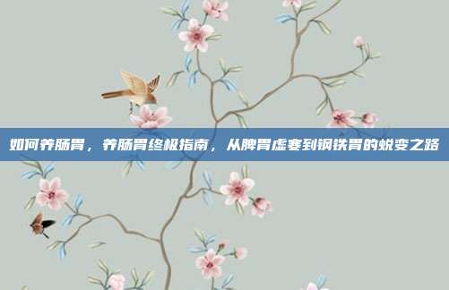 如何养肠胃,养肠胃终极指南,从脾胃虚寒到钢铁胃的蜕变之路